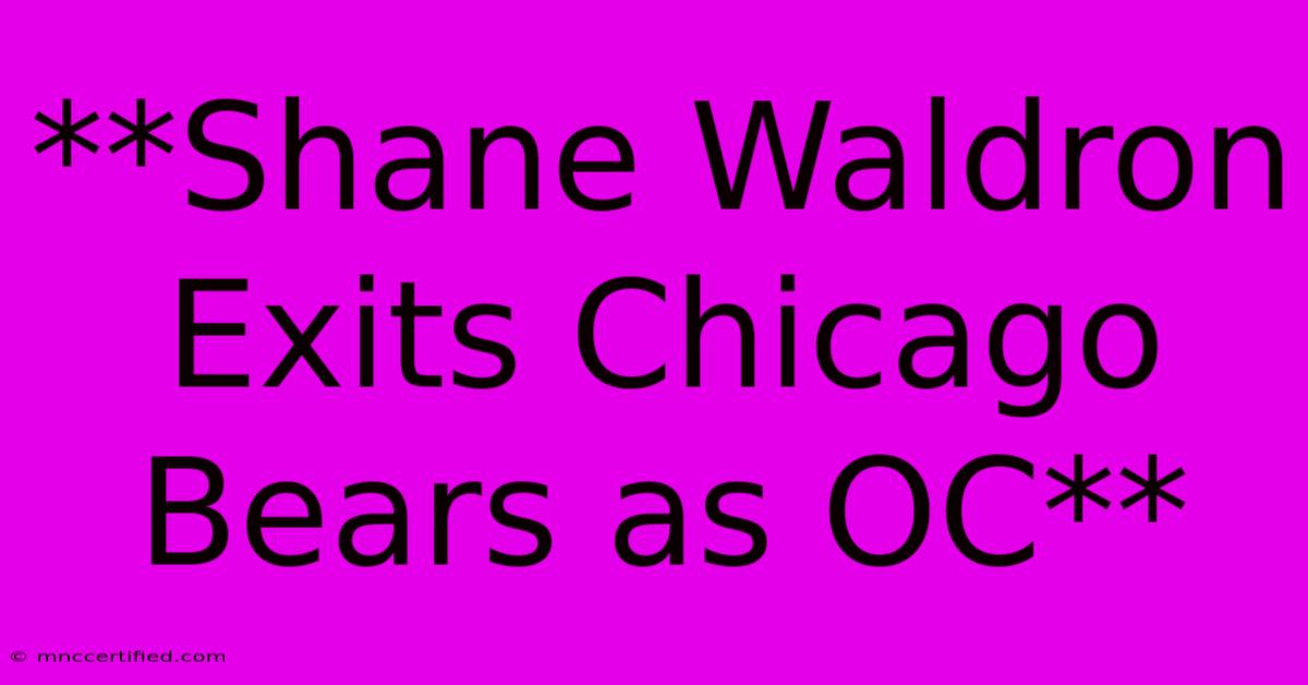 **Shane Waldron Exits Chicago Bears As OC**