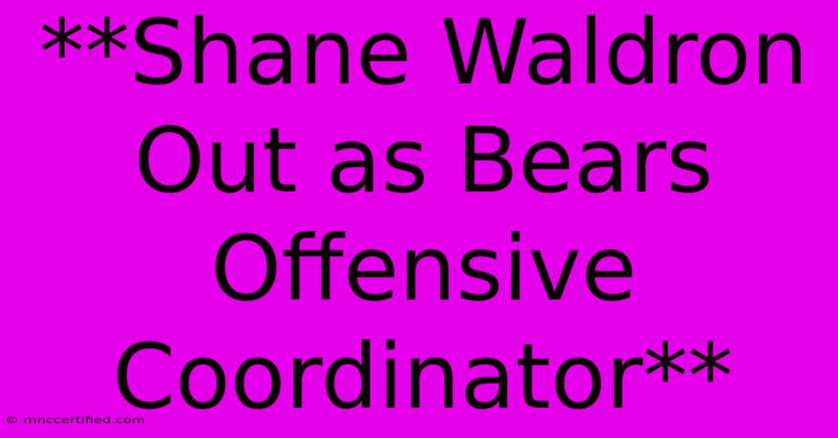 **Shane Waldron Out As Bears Offensive Coordinator**