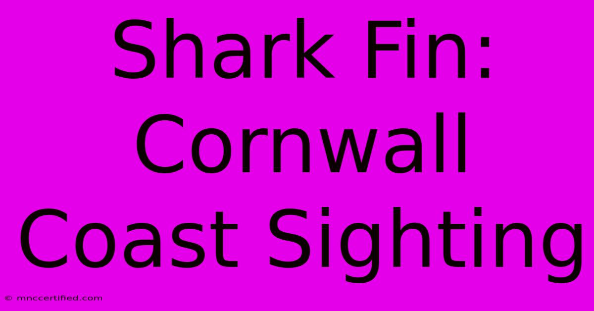 Shark Fin: Cornwall Coast Sighting