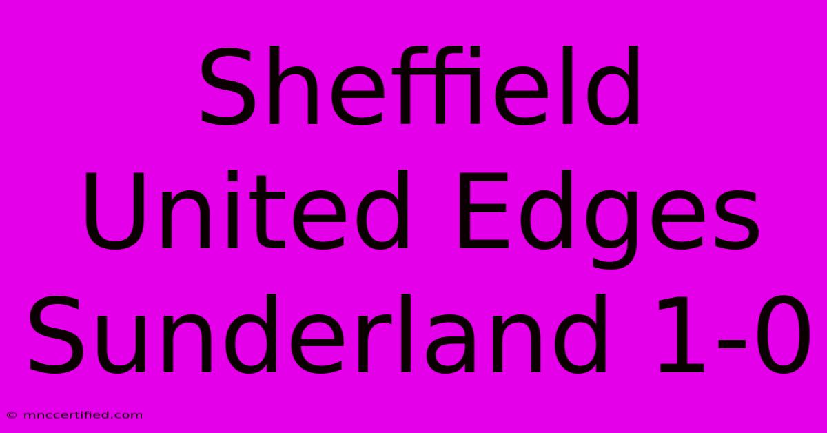 Sheffield United Edges Sunderland 1-0