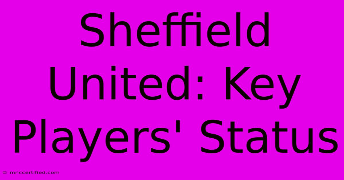 Sheffield United: Key Players' Status