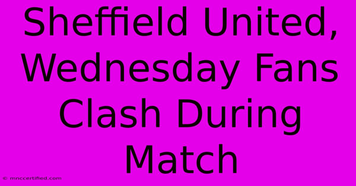 Sheffield United, Wednesday Fans Clash During Match