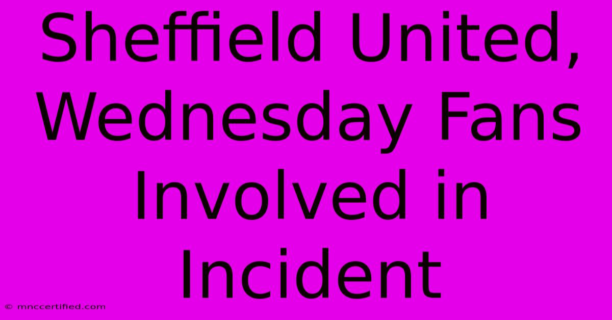 Sheffield United, Wednesday Fans Involved In Incident 