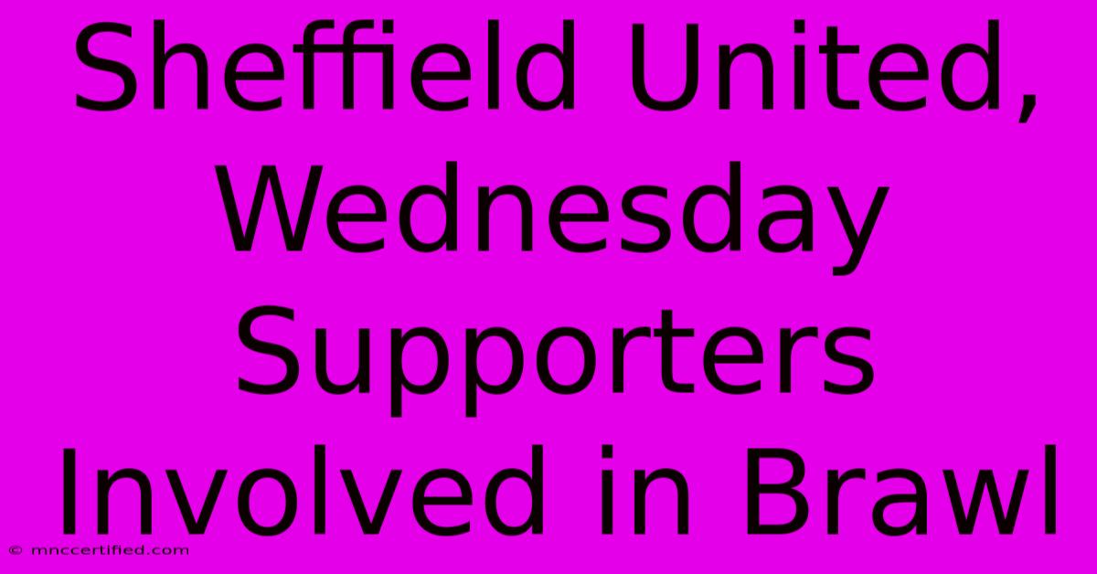 Sheffield United, Wednesday Supporters Involved In Brawl