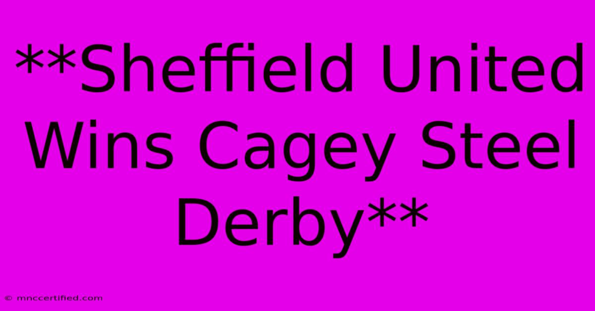 **Sheffield United Wins Cagey Steel Derby**