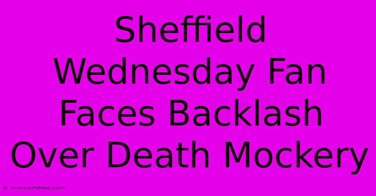 Sheffield Wednesday Fan Faces Backlash Over Death Mockery