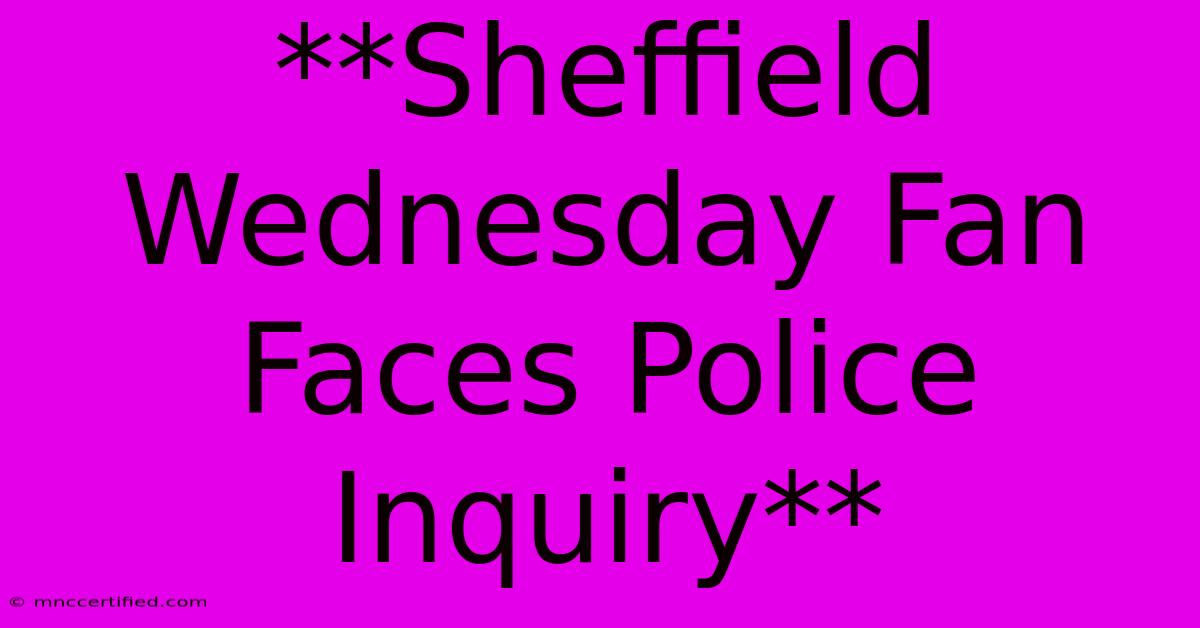 **Sheffield Wednesday Fan Faces Police Inquiry**