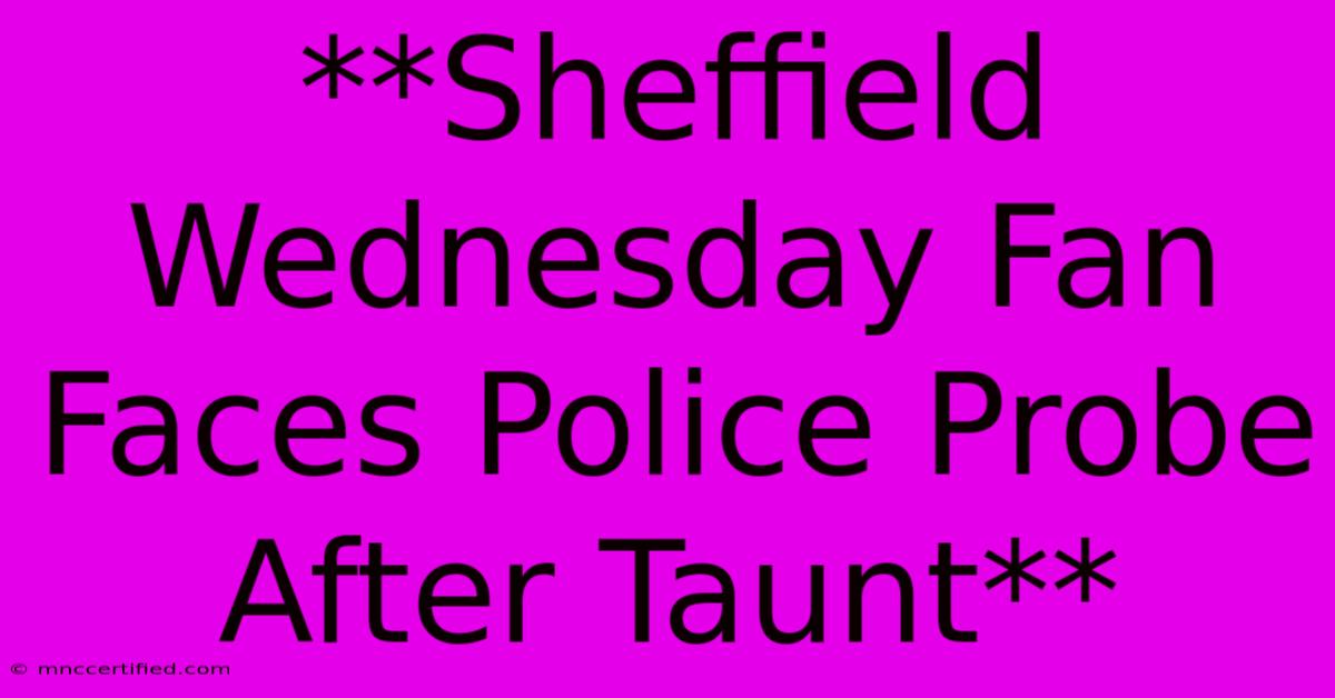 **Sheffield Wednesday Fan Faces Police Probe After Taunt**