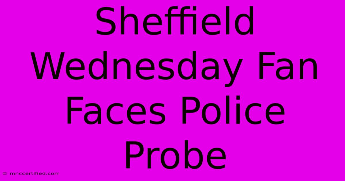 Sheffield Wednesday Fan Faces Police Probe