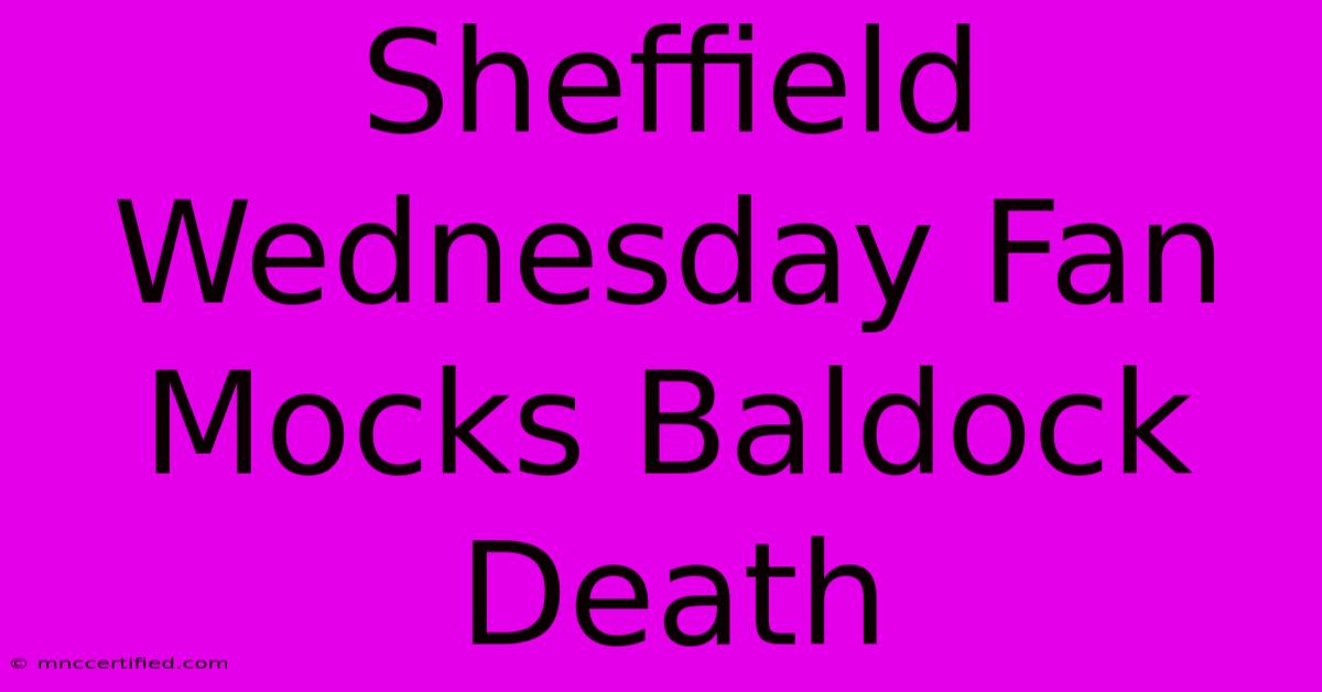 Sheffield Wednesday Fan Mocks Baldock Death