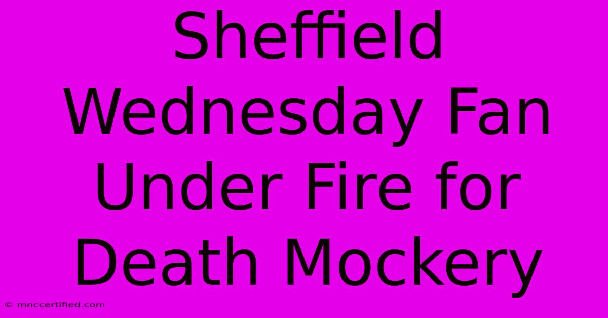 Sheffield Wednesday Fan Under Fire For Death Mockery 