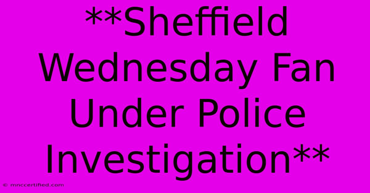 **Sheffield Wednesday Fan Under Police Investigation**