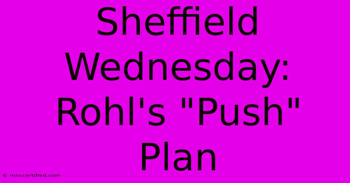 Sheffield Wednesday: Rohl's 