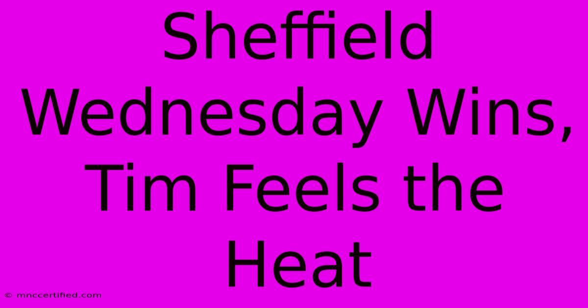 Sheffield Wednesday Wins, Tim Feels The Heat