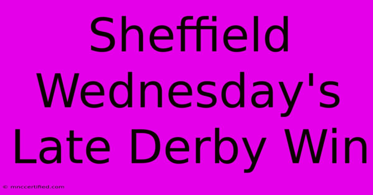 Sheffield Wednesday's Late Derby Win