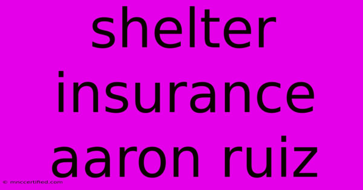 Shelter Insurance   Aaron Ruiz