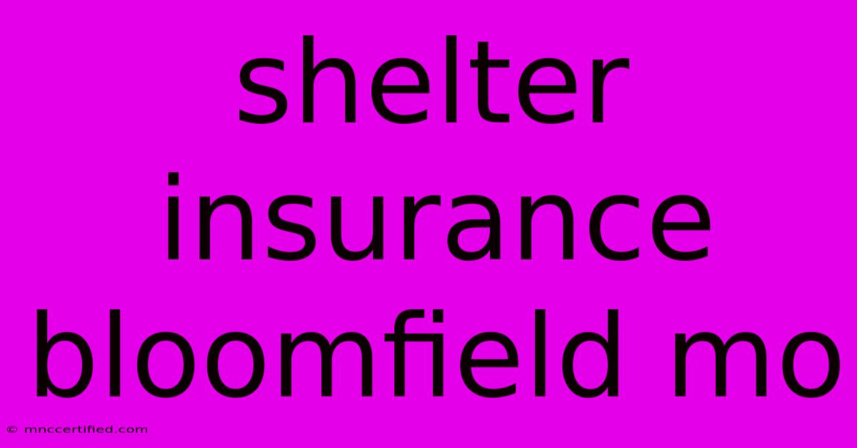 Shelter Insurance Bloomfield Mo