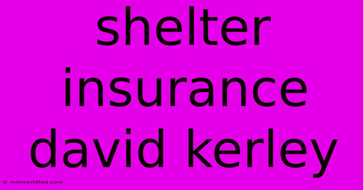 Shelter Insurance David Kerley