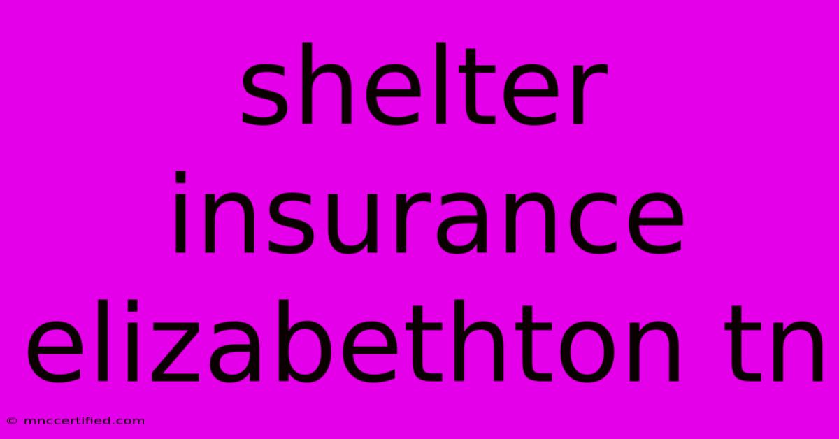 Shelter Insurance Elizabethton Tn