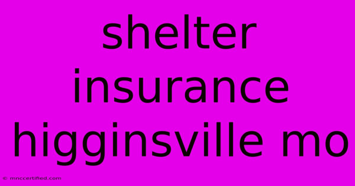 Shelter Insurance Higginsville Mo