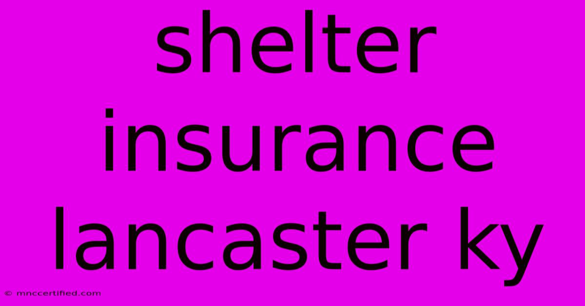 Shelter Insurance Lancaster Ky