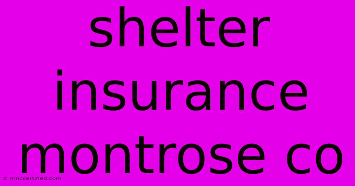 Shelter Insurance Montrose Co