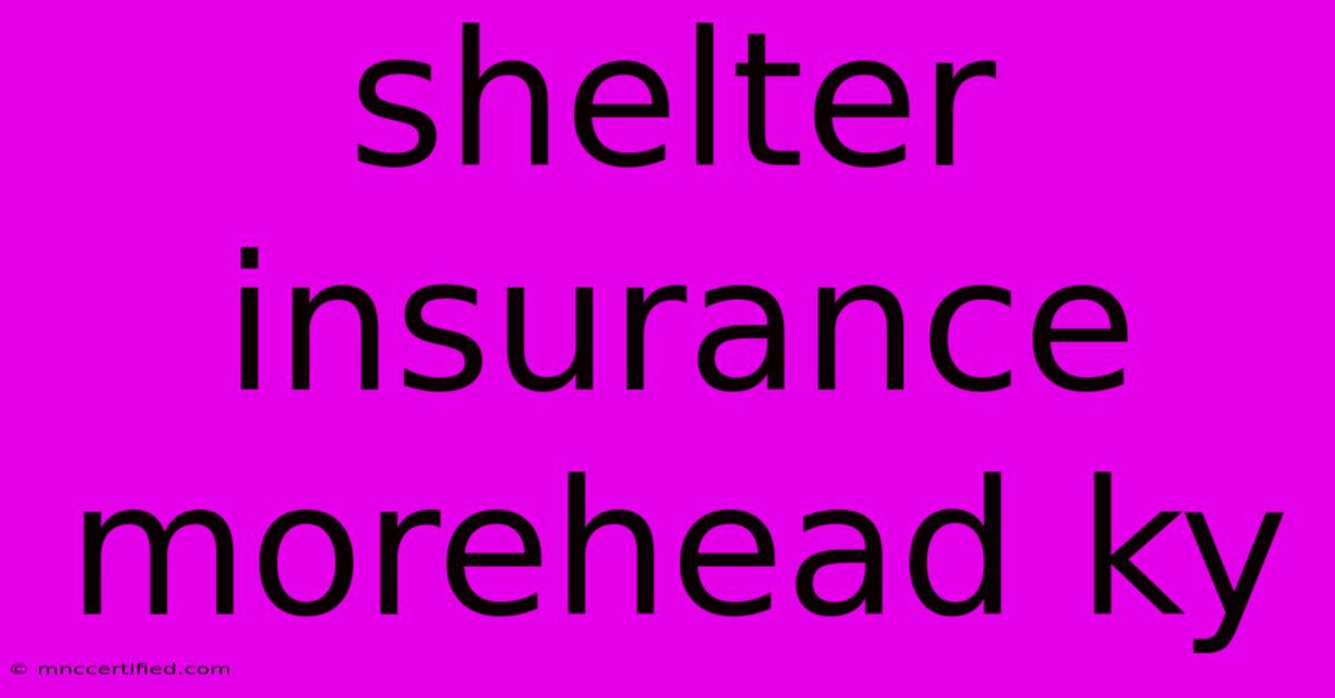 Shelter Insurance Morehead Ky