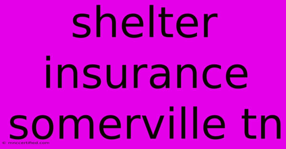 Shelter Insurance Somerville Tn