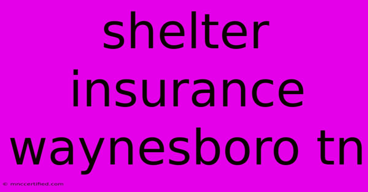 Shelter Insurance Waynesboro Tn