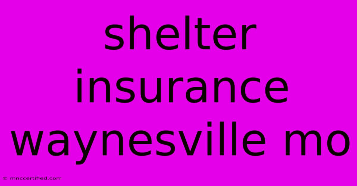 Shelter Insurance Waynesville Mo