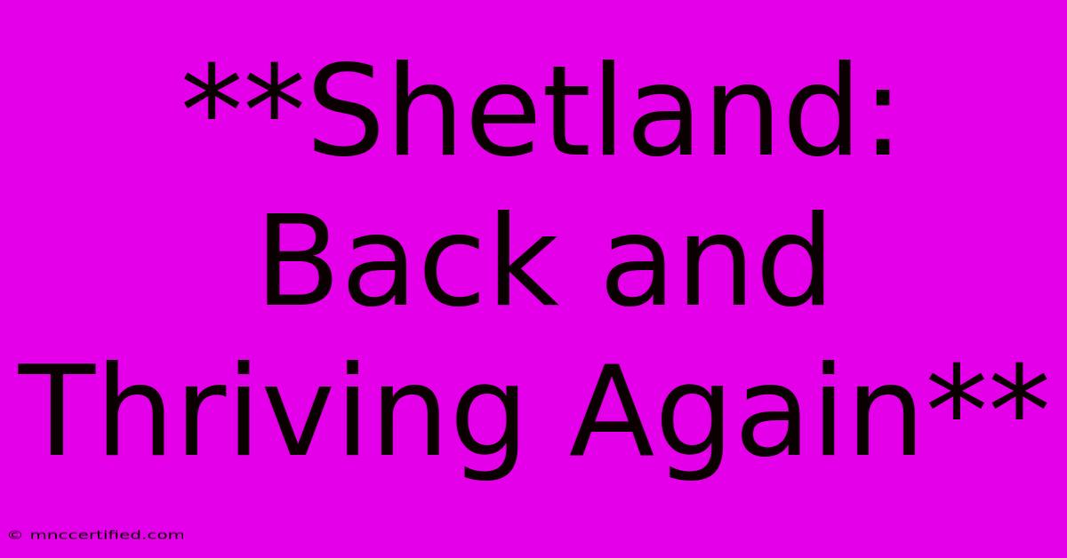 **Shetland: Back And Thriving Again** 