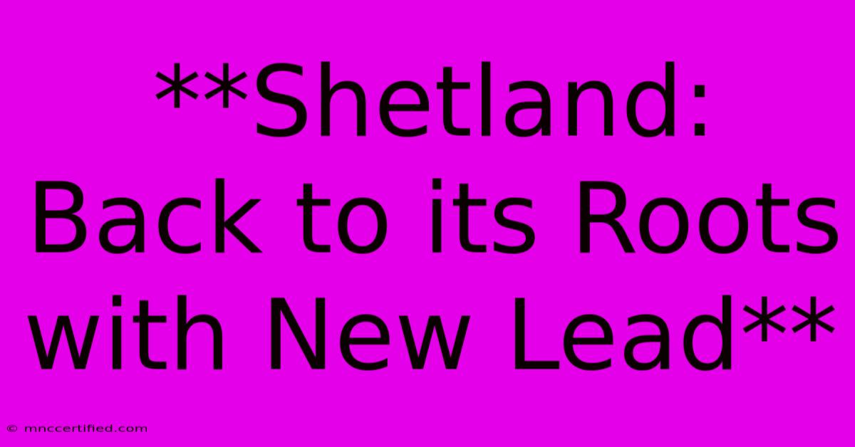 **Shetland: Back To Its Roots With New Lead** 