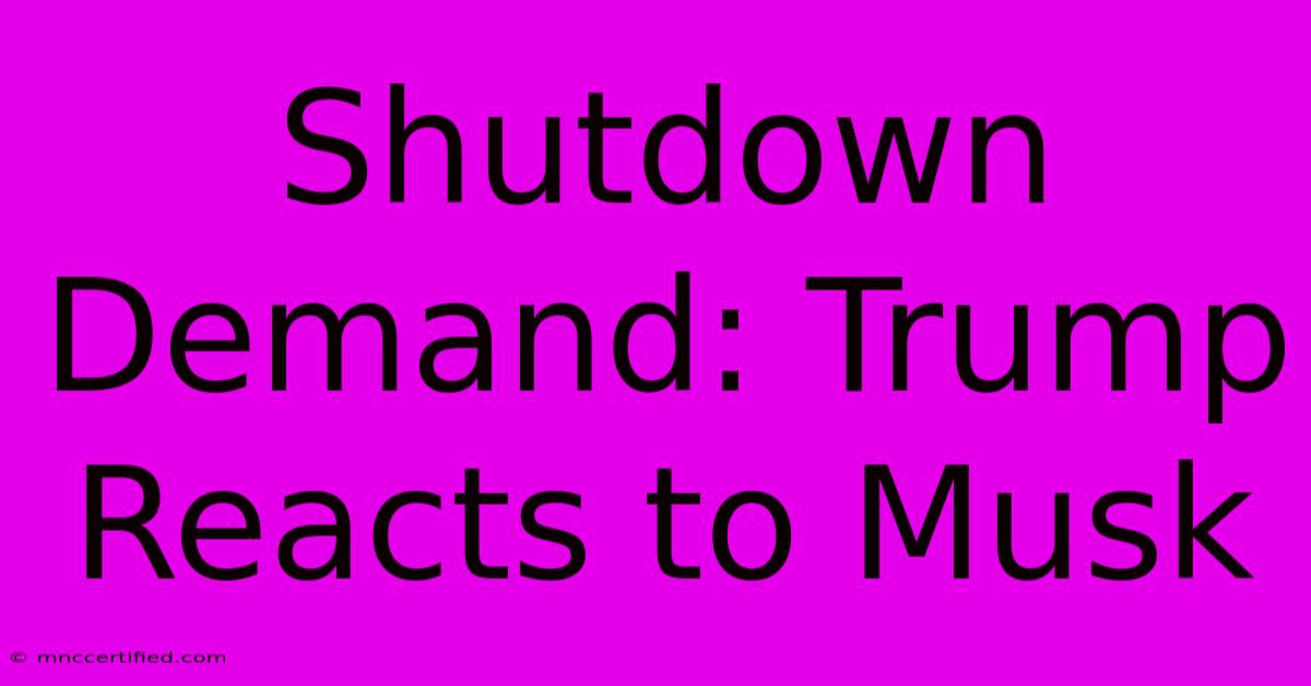 Shutdown Demand: Trump Reacts To Musk