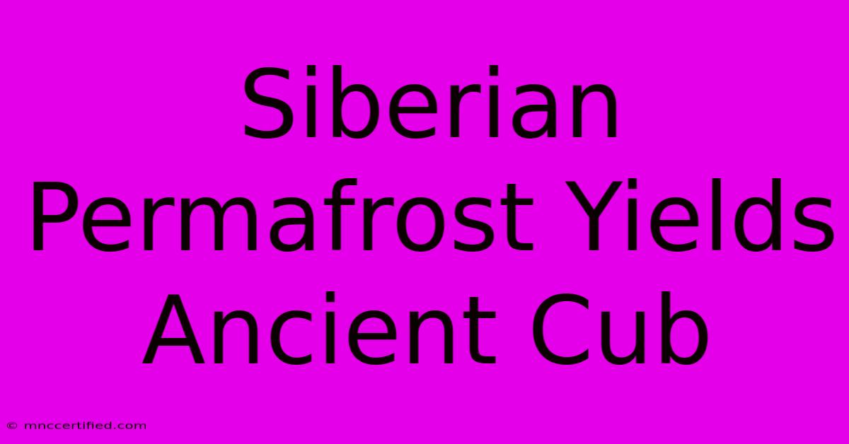 Siberian Permafrost Yields Ancient Cub