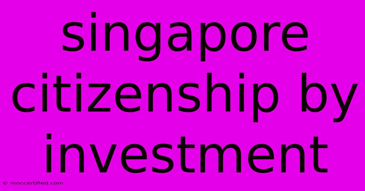 Singapore Citizenship By Investment