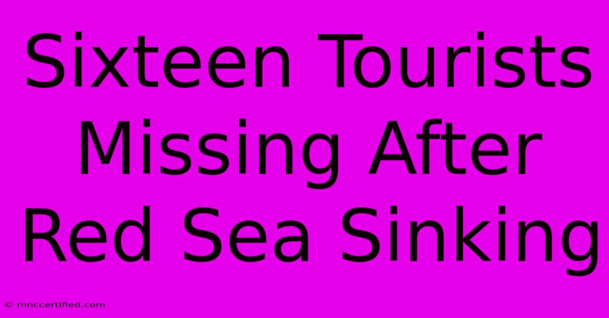 Sixteen Tourists Missing After Red Sea Sinking