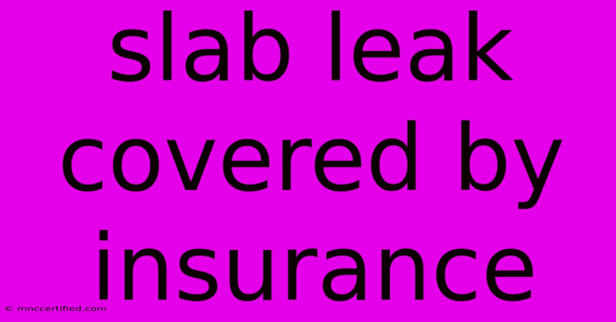 Slab Leak Covered By Insurance