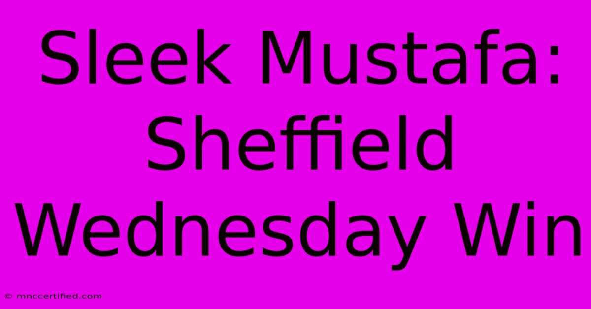 Sleek Mustafa: Sheffield Wednesday Win