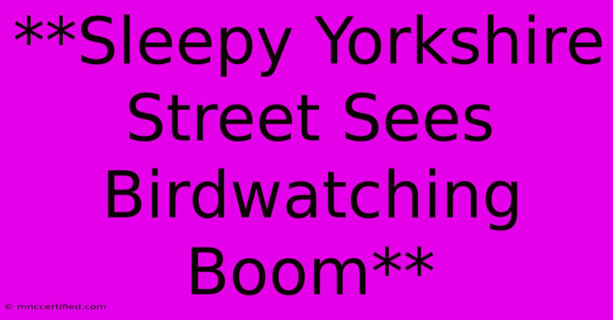 **Sleepy Yorkshire Street Sees Birdwatching Boom**