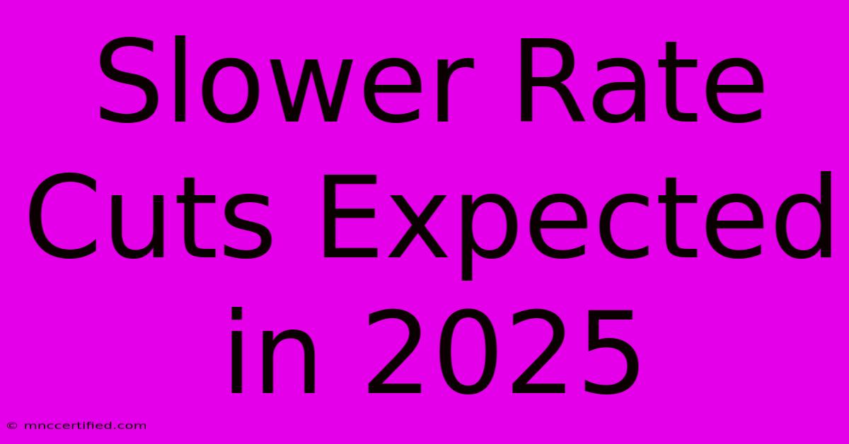 Slower Rate Cuts Expected In 2025