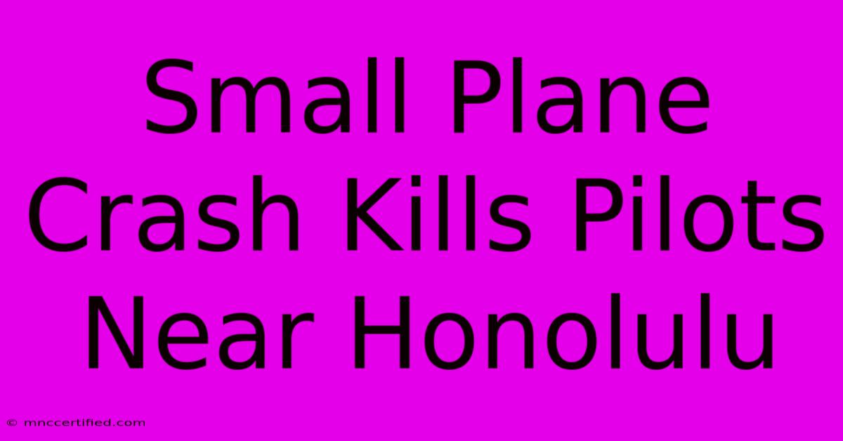 Small Plane Crash Kills Pilots Near Honolulu