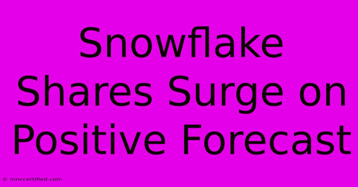 Snowflake Shares Surge On Positive Forecast