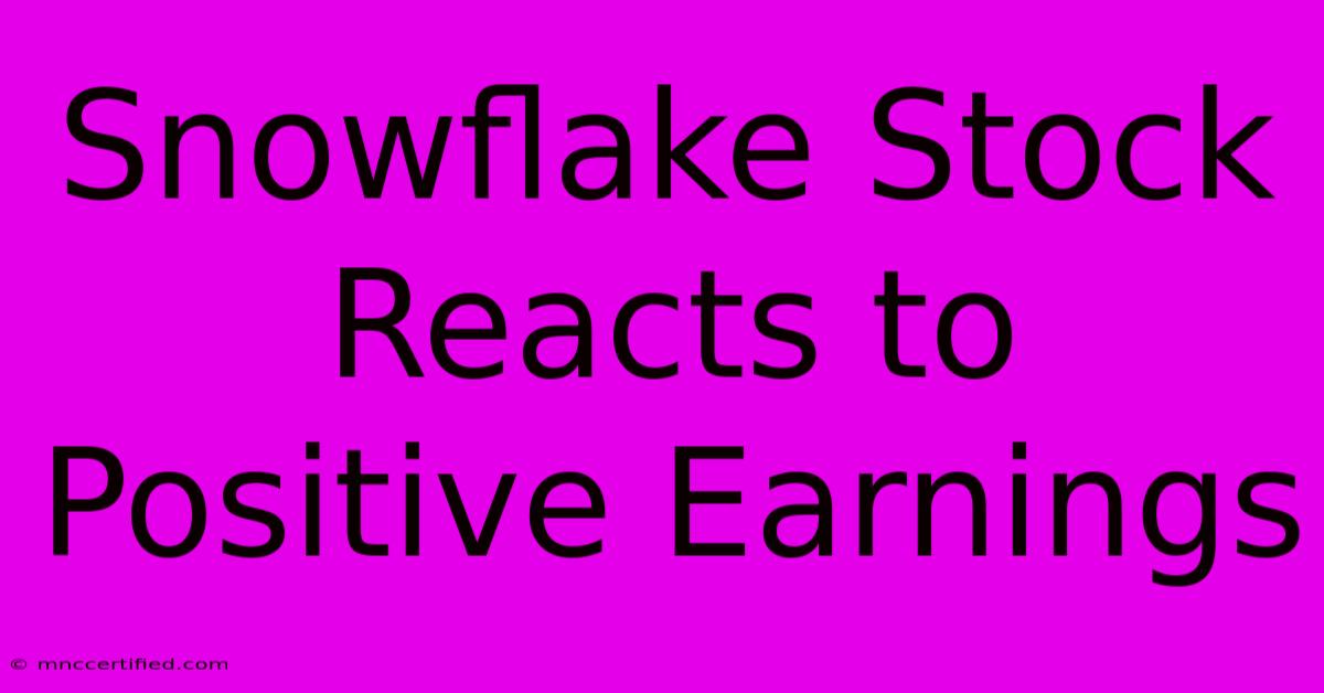 Snowflake Stock Reacts To Positive Earnings