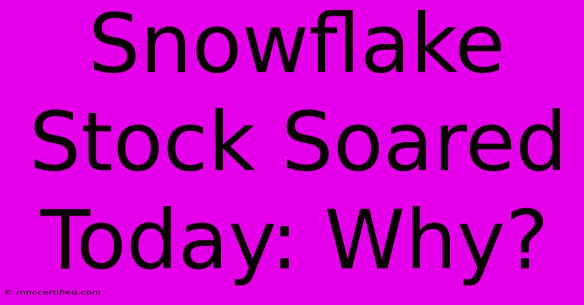 Snowflake Stock Soared Today: Why?