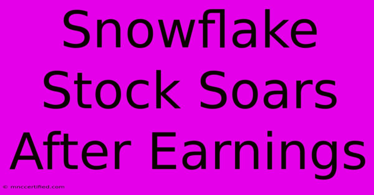 Snowflake Stock Soars After Earnings