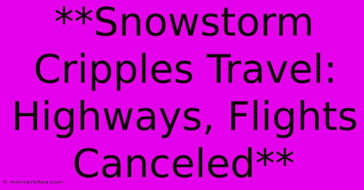 **Snowstorm Cripples Travel: Highways, Flights Canceled**