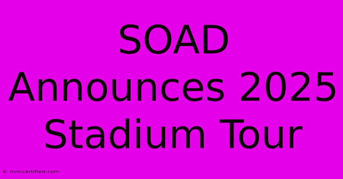 SOAD Announces 2025 Stadium Tour