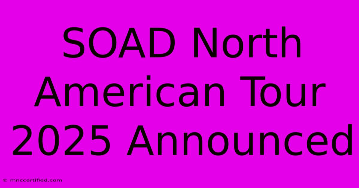 SOAD North American Tour 2025 Announced