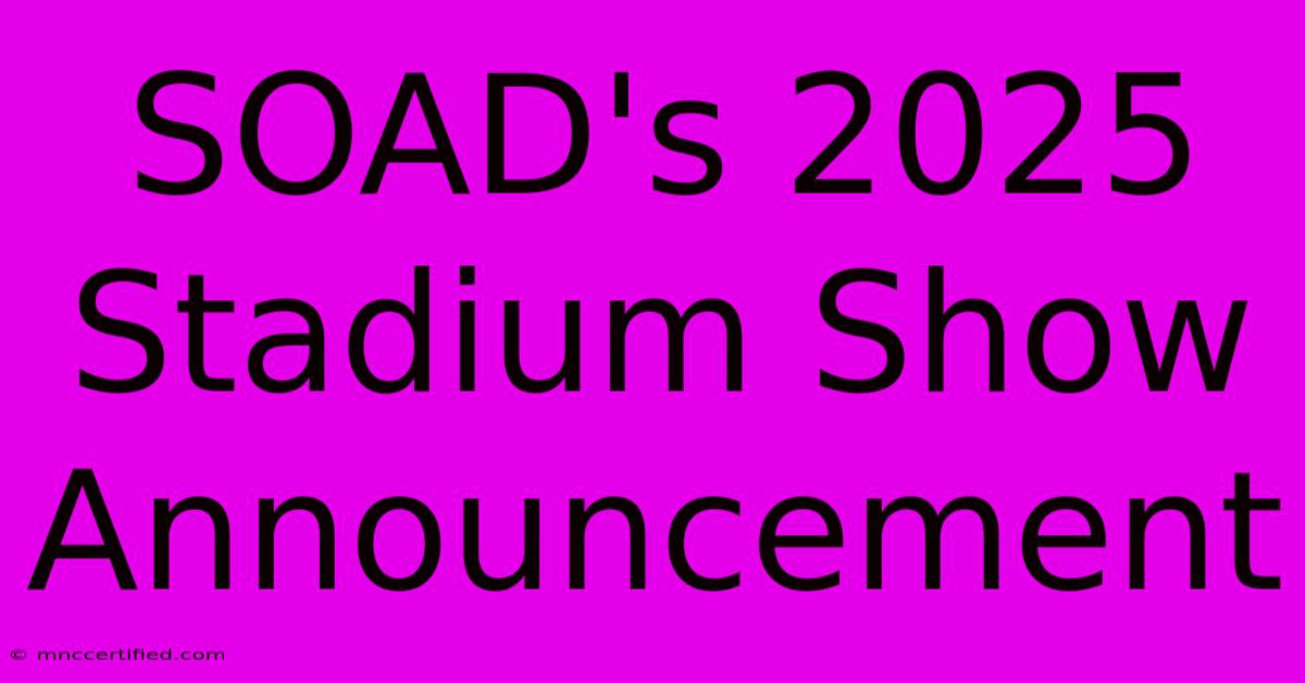 SOAD's 2025 Stadium Show Announcement