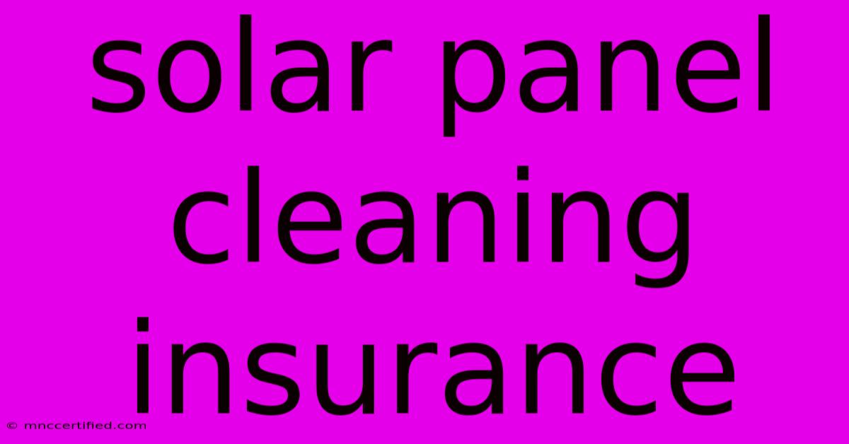 Solar Panel Cleaning Insurance